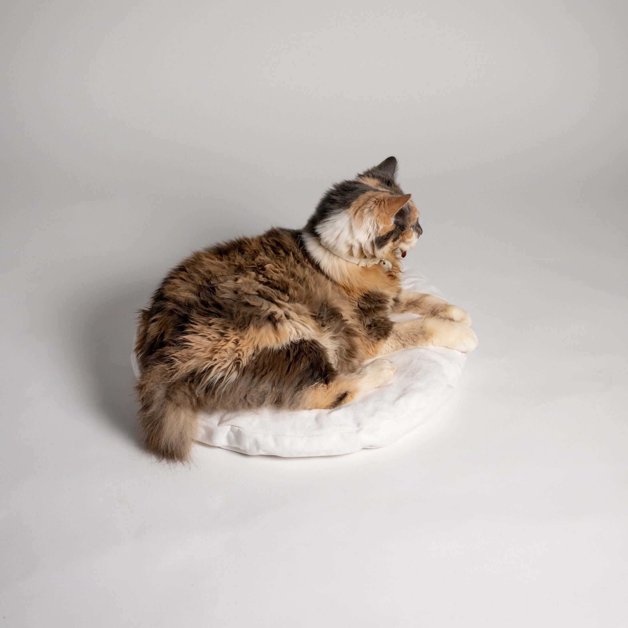 Rawry Pet Bed Accessories Round Medium Luxe Cushion