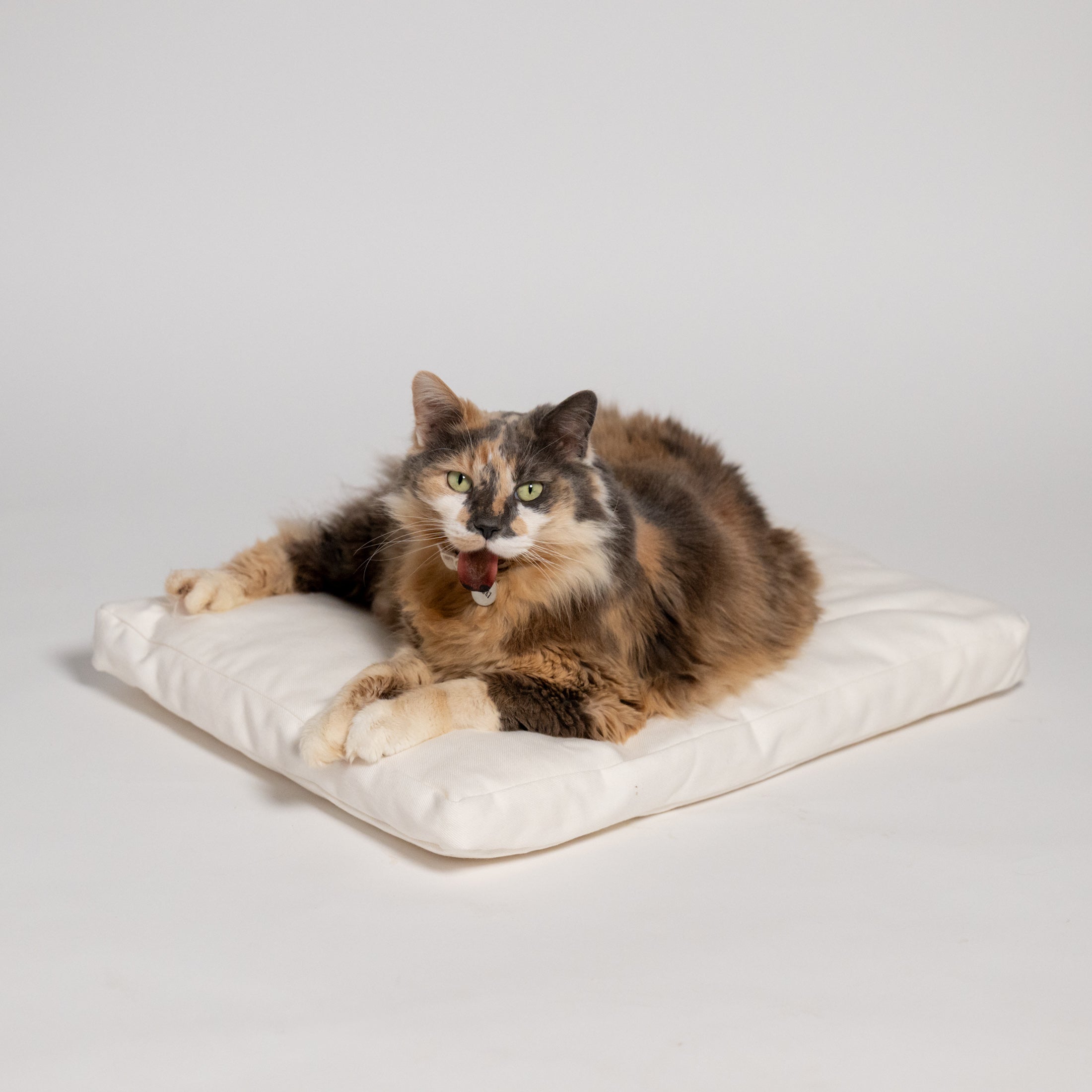 Rawry Pet Bed Accessories Rectangle Medium Rectangle XL Luxe Cushion