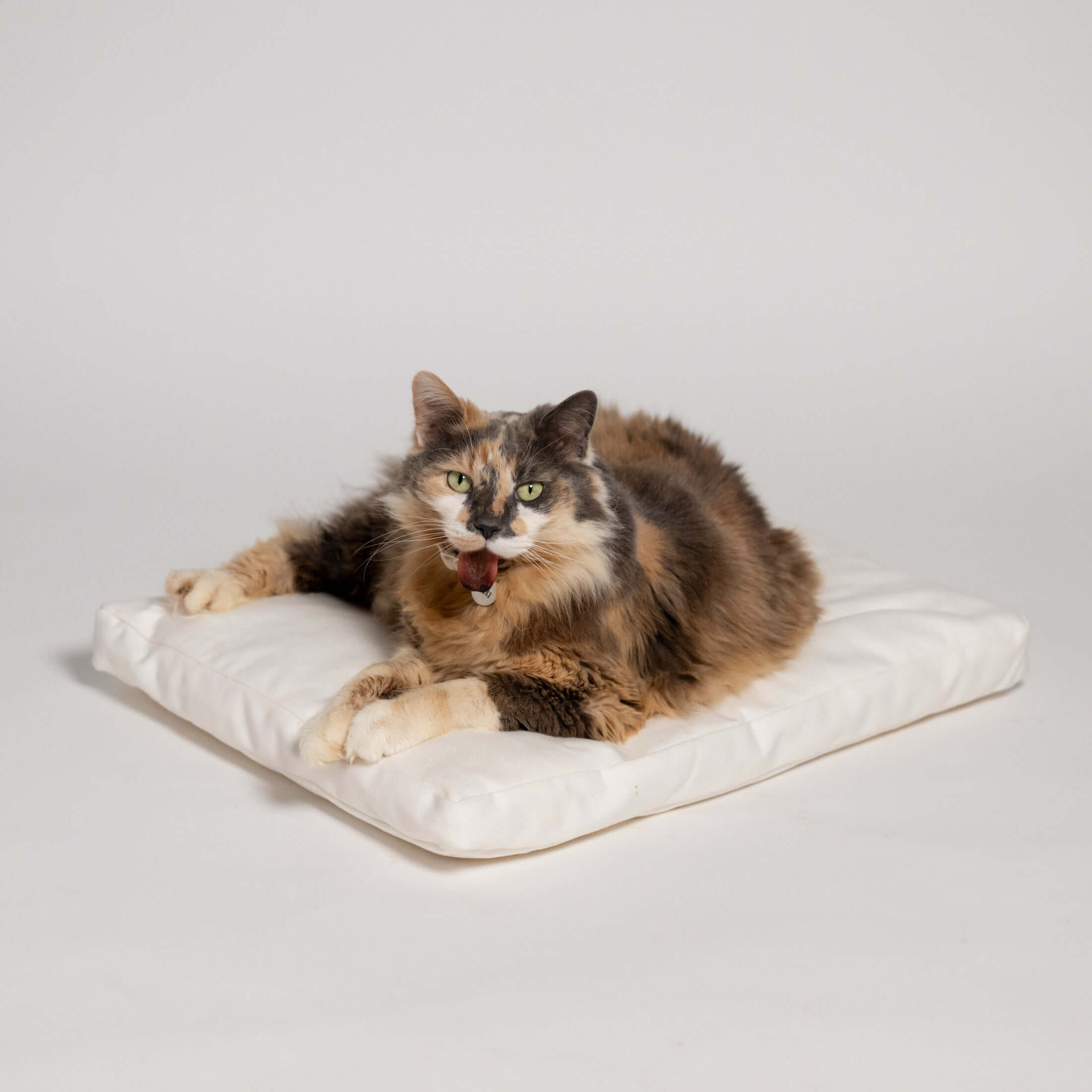 Rawry Pet Bed Accessories Rectangle Medium Rectangle XL Luxe Cushion