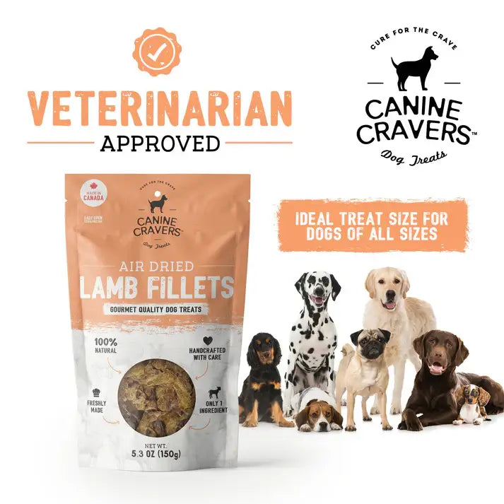 Premium Lamb Fillet Dog Treats 5.3 oz Bag