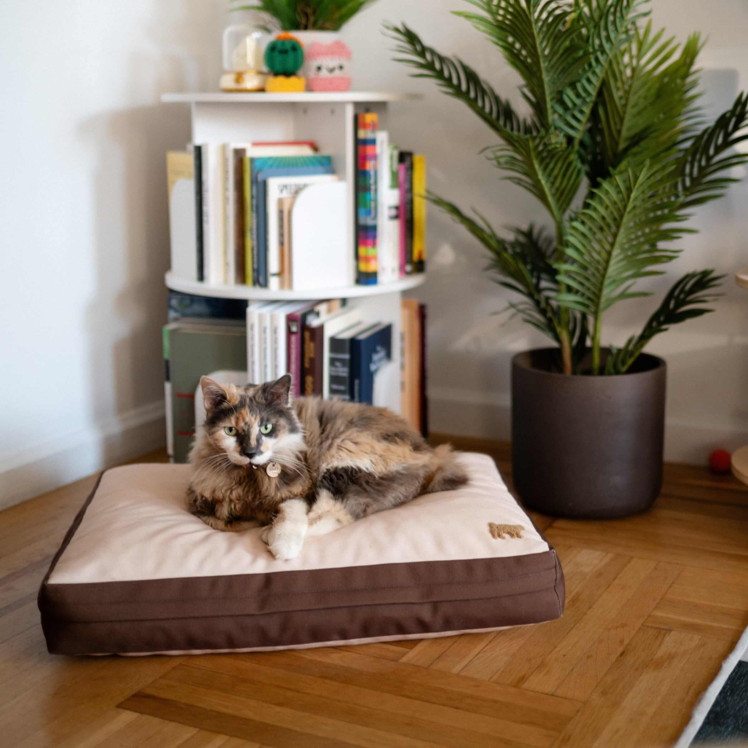 Rawry Pet Beds Therapeutic Floor Cushion - Small