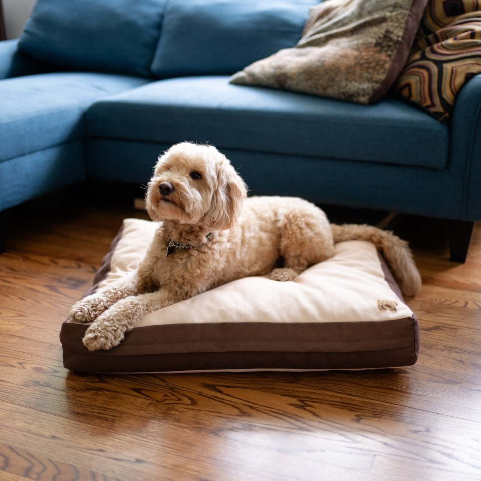 Rawry Pet Beds Therapeutic Floor Cushion - Medium