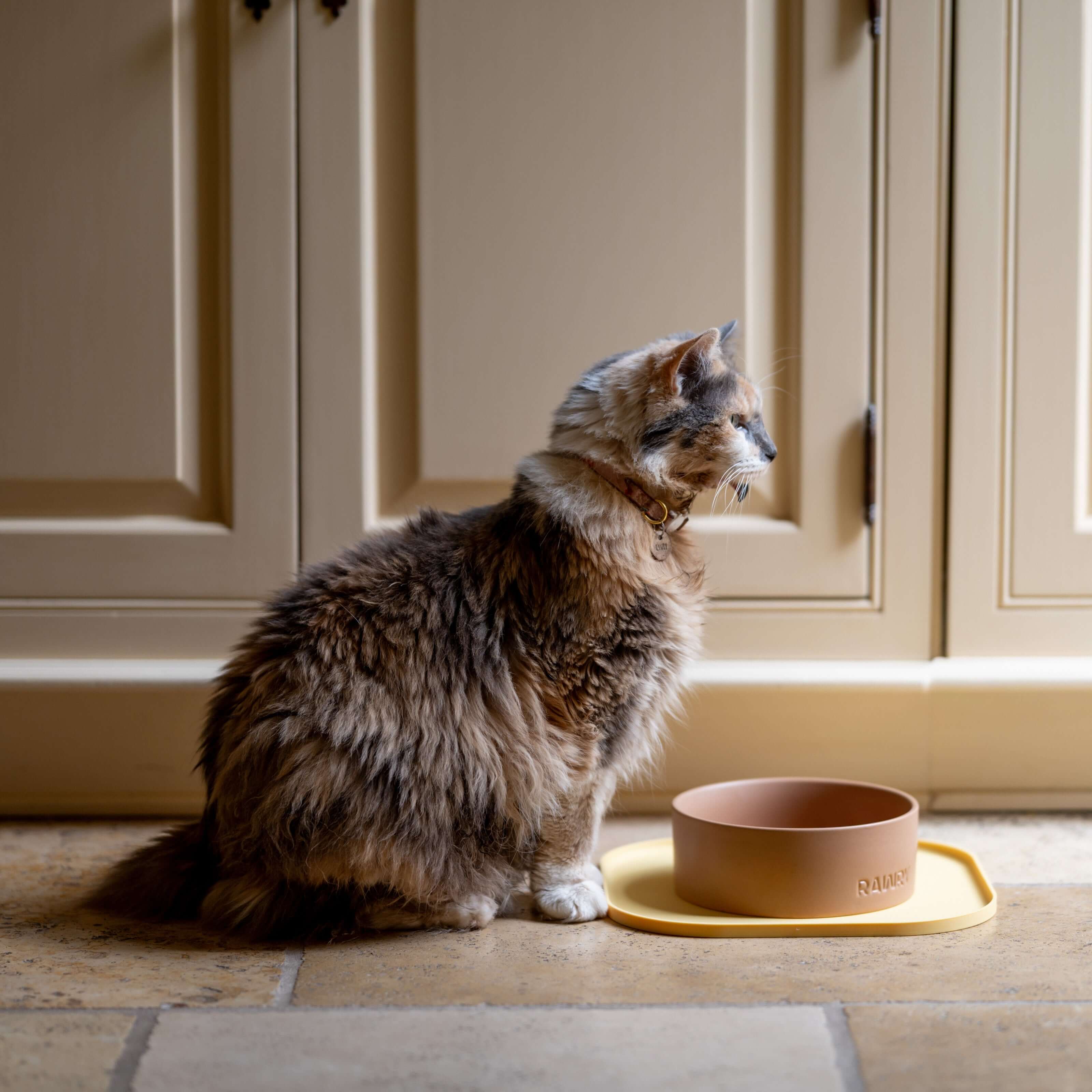 Rawry Ceramic Pet Bowl Size Guide: Clay - Small, Clay - Medium, Clay - Large