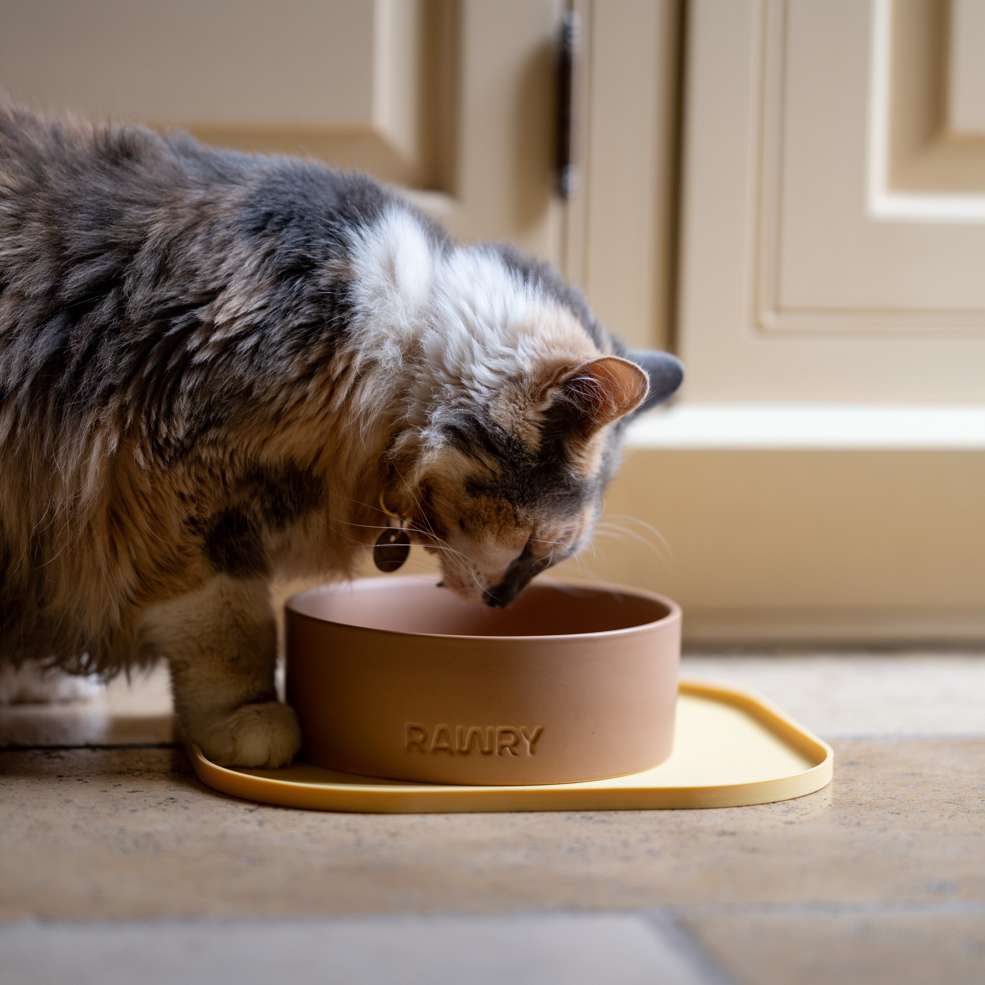 Rawry Ceramic Pet Bowl Size Guide: Clay - Small, Clay - Medium, Clay - Large