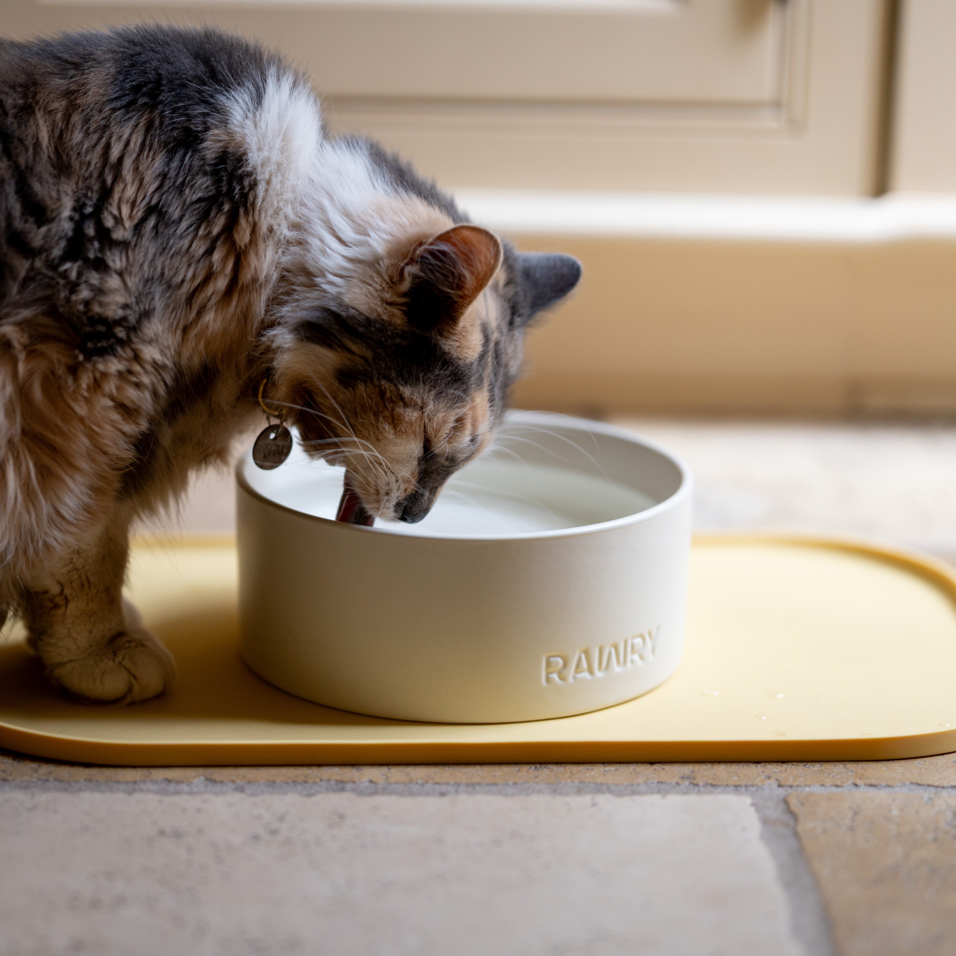 Rawry Ceramic Pet Bowl Size Guide: Bone - Small, Bone - Medium, Bone - Large