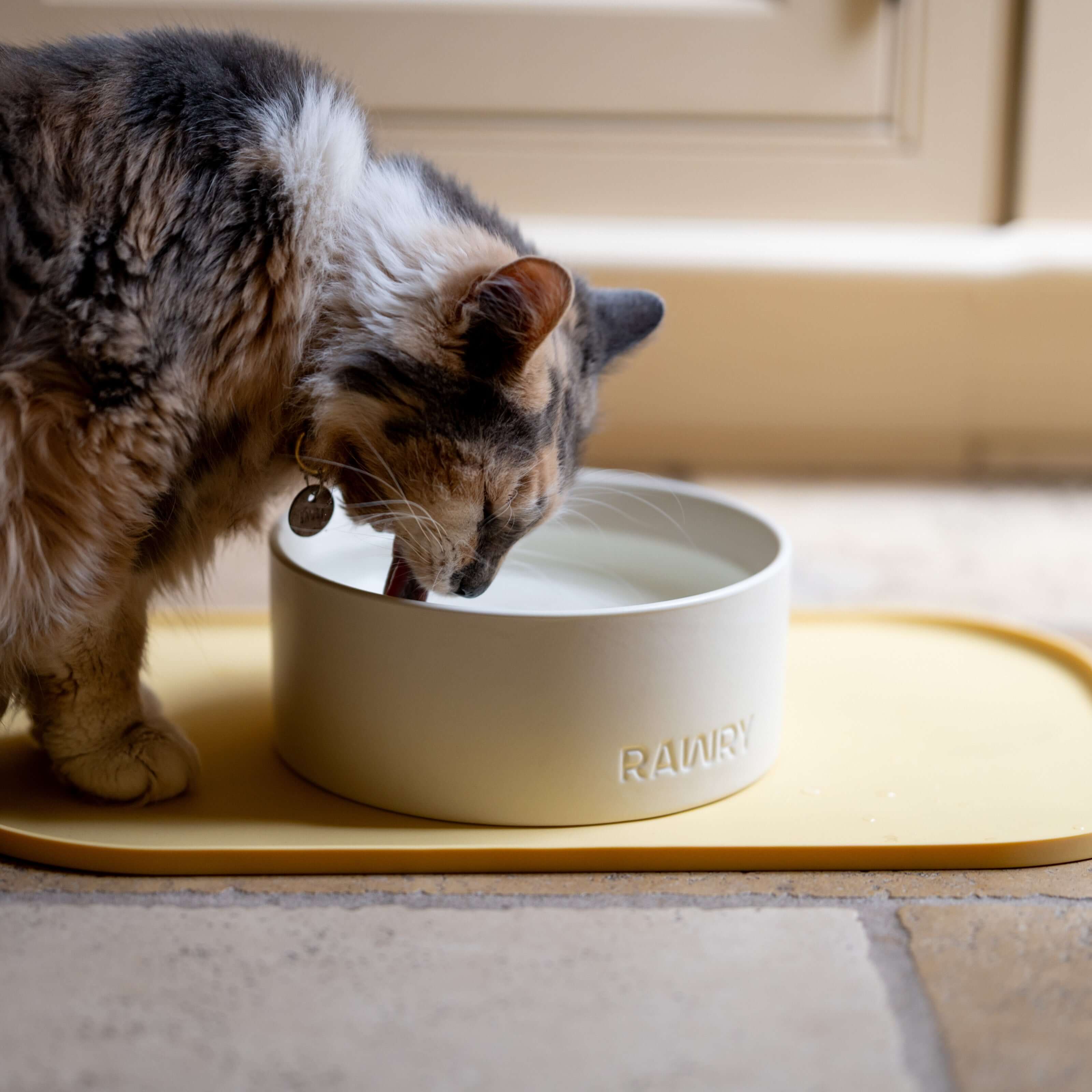 Rawry Ceramic Pet Bowl Size Guide: Bone - Small, Bone - Medium, Bone - Large