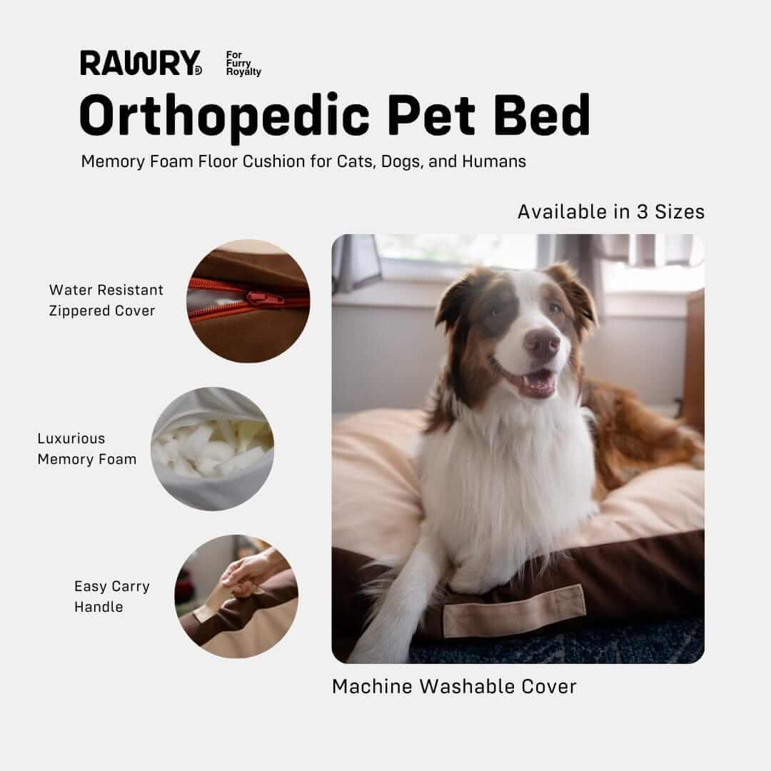 Rawry Pet Beds Therapeutic Floor Cushion - Small, Medium, XL