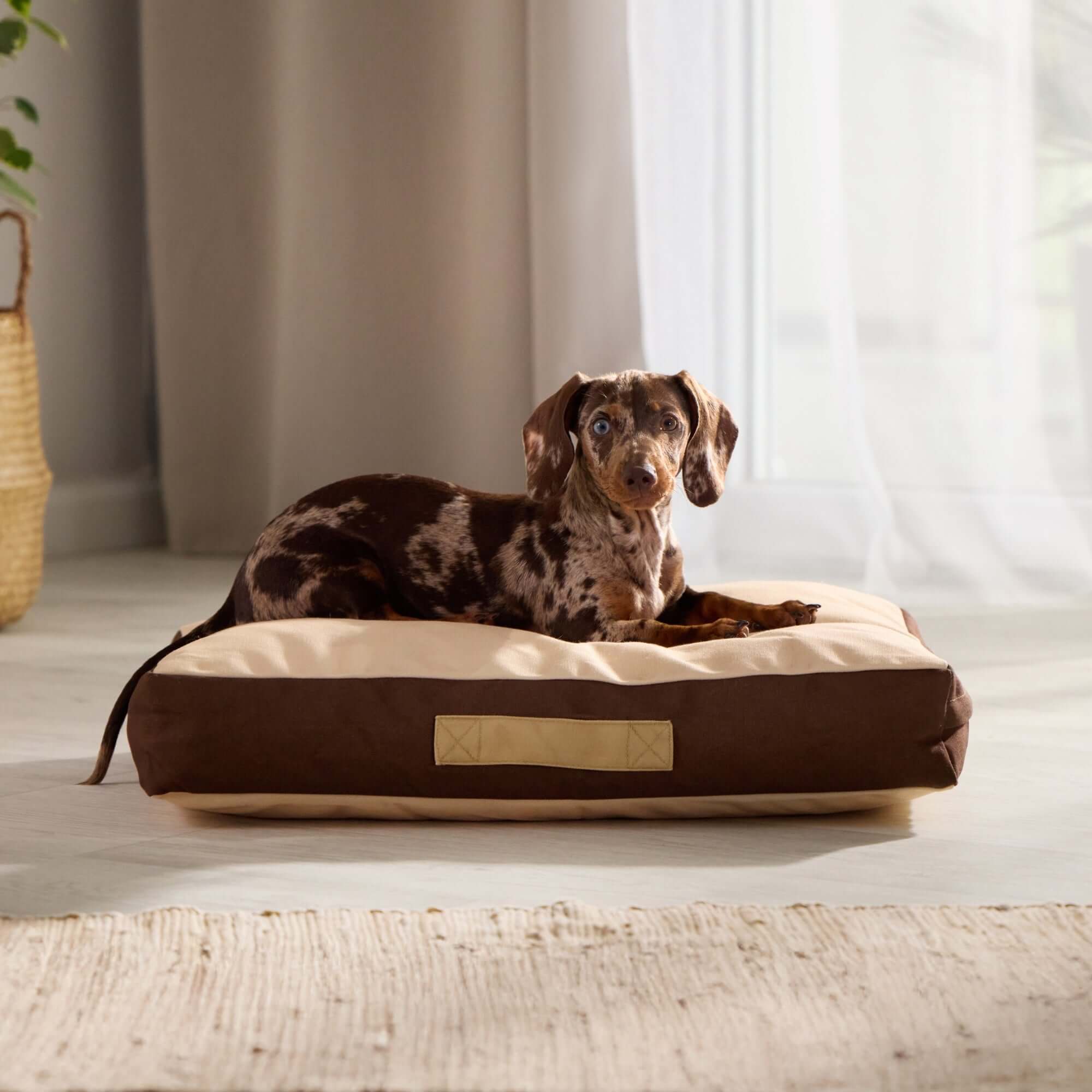 Rawry Pet Beds Therapeutic Floor Cushion - Small