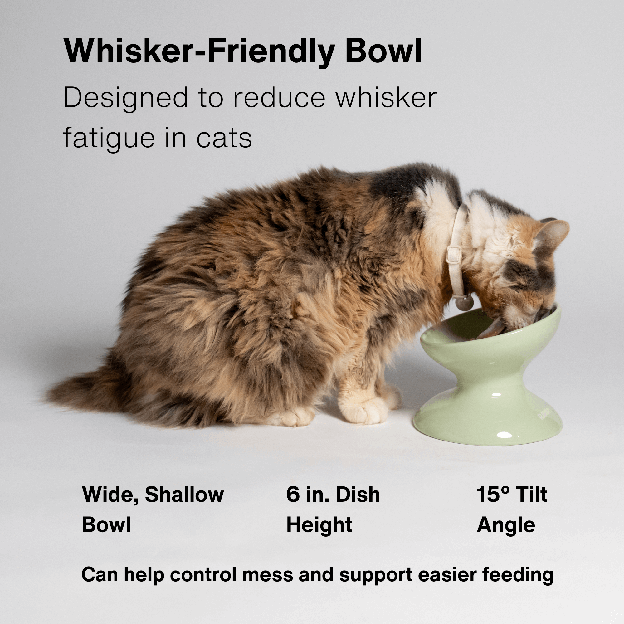 ETB Seafoam, ETB Plum