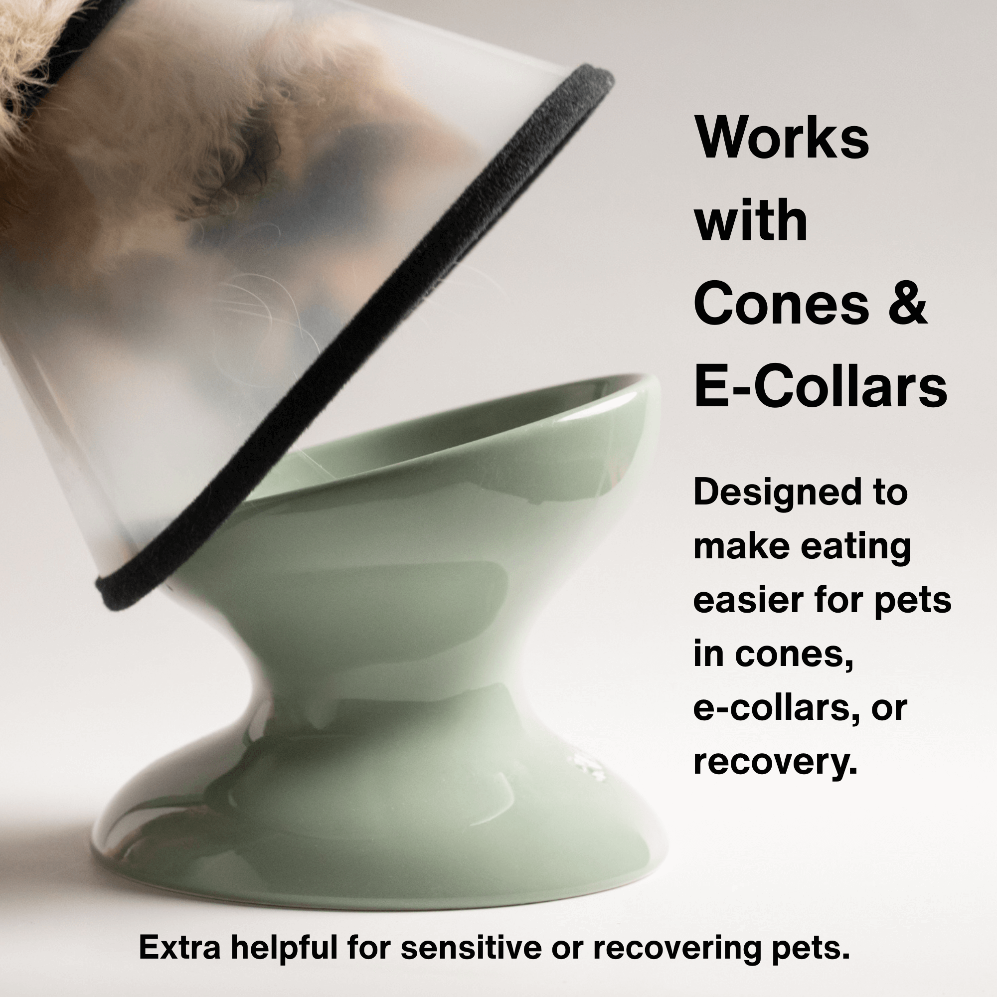 ETB Seafoam, ETB Plum