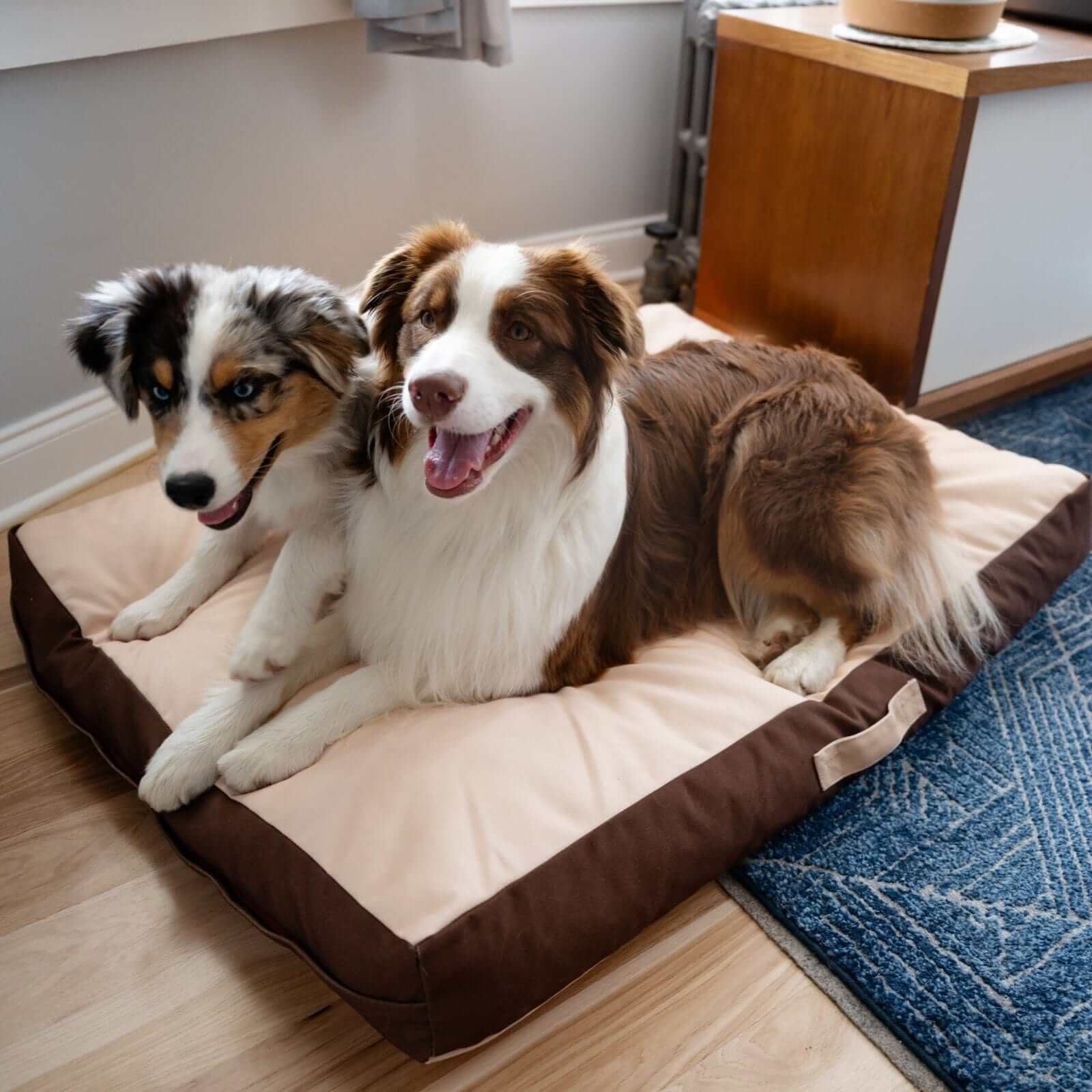 Rawry Pet Beds Therapeutic Floor Cushion - XL