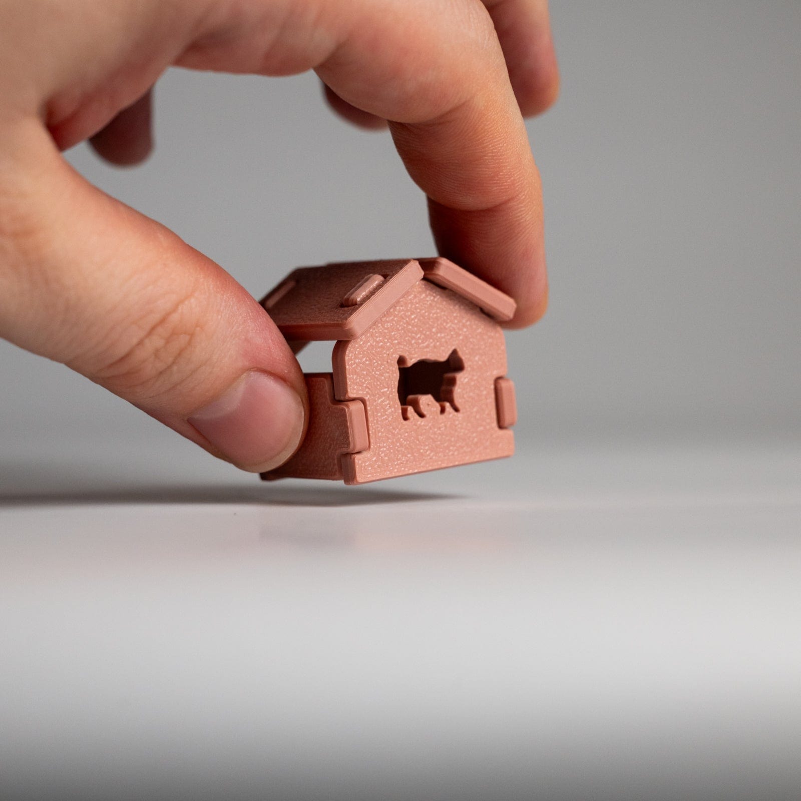 Rawry Lifestyle Micro Cabin Card Kit Rose