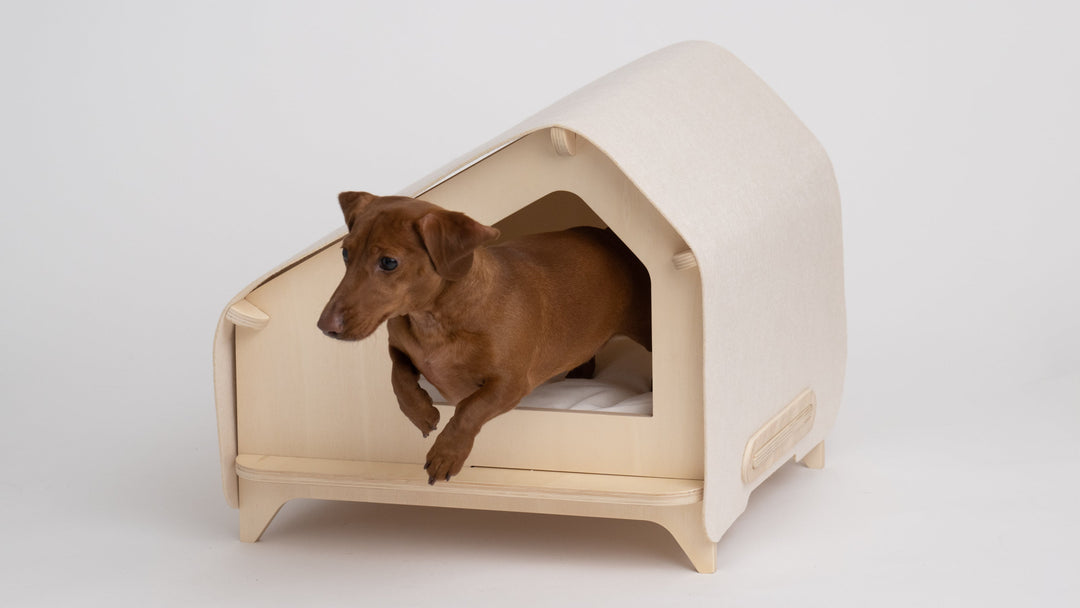 Rawru Luxe Cabin in Medium Cream with Small Dog Jumping Out