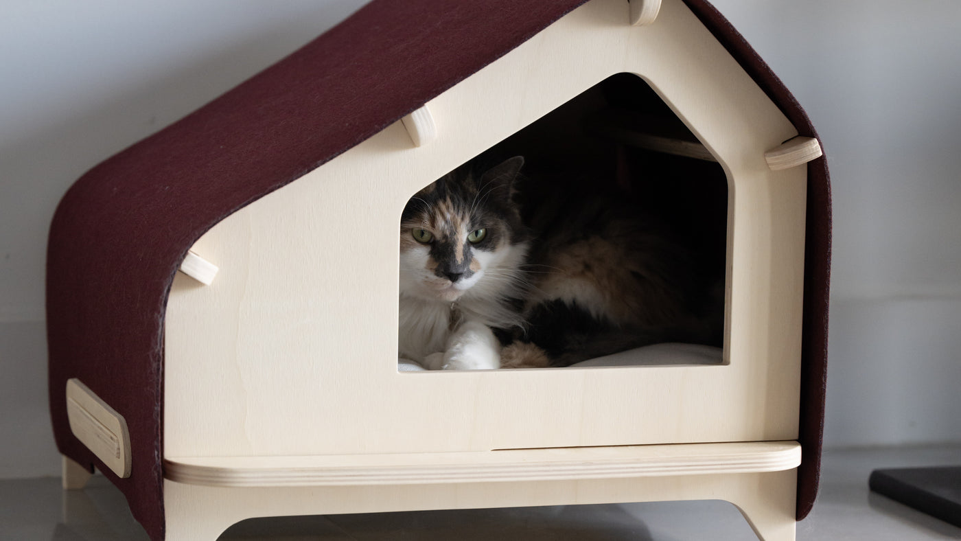 Pet Beds, Houses, and Accessories