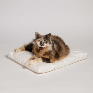 Rawry Pet Bed Accessories Rectangle Medium Rectangle XL Luxe Cushion