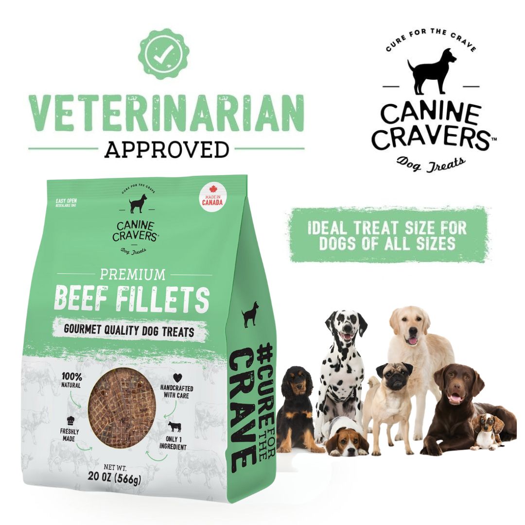 Premium Beef Fillets Dog Treats 20 oz Big Bag