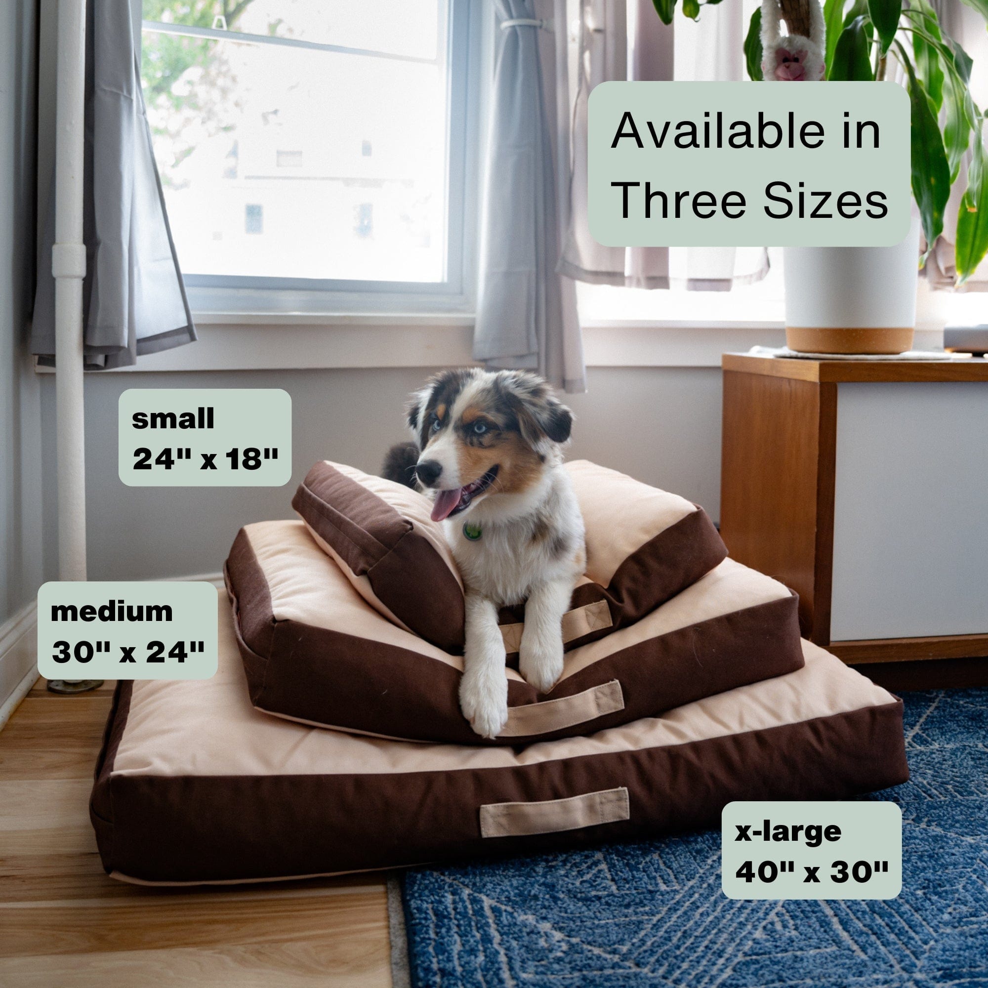 Rawry Pet Beds Therapeutic Floor Cushion - Small, Medium, XL