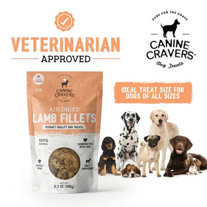 Premium Lamb Fillet Dog Treats 5.3 oz Bag
