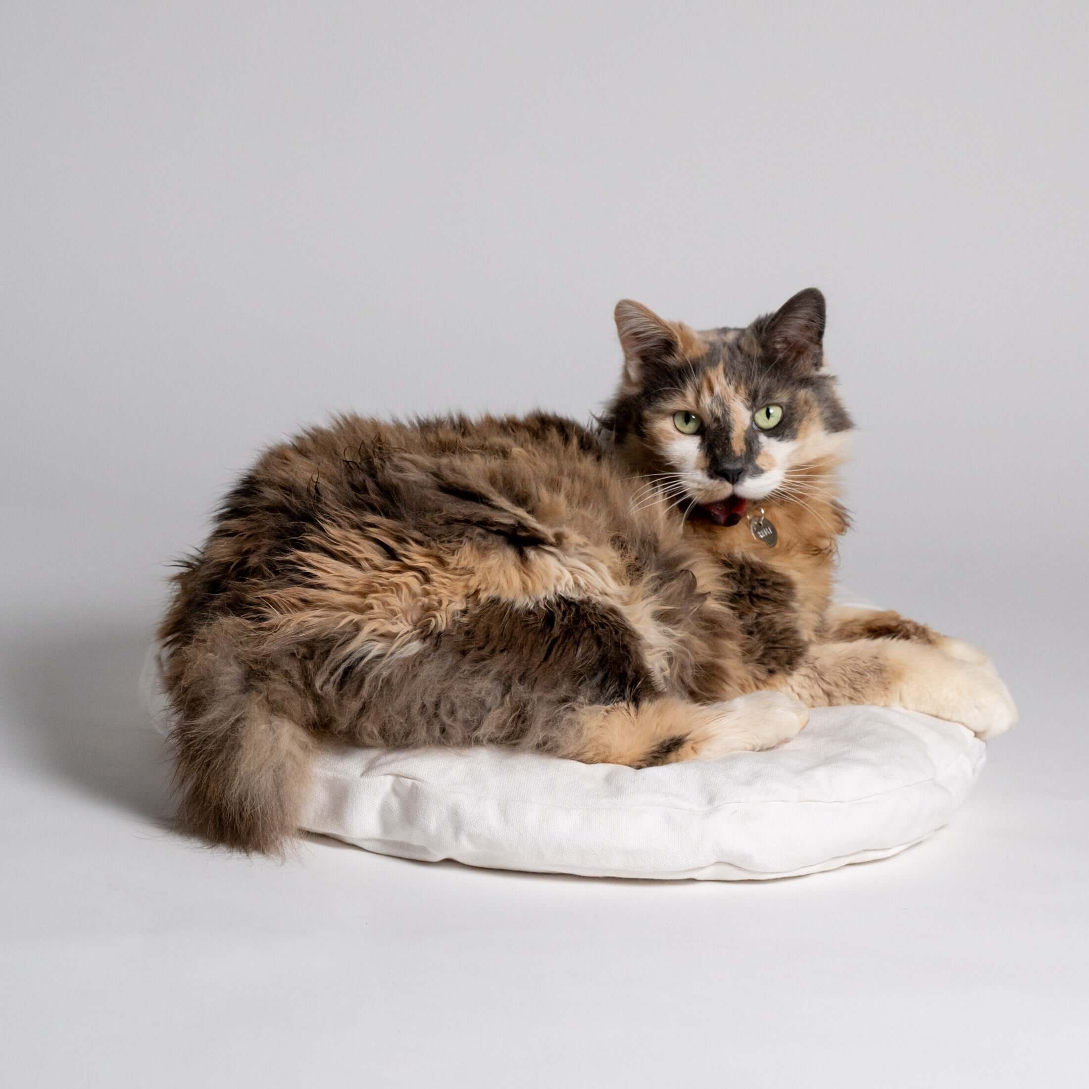 Rawry Pet Bed Accessories Round Medium Luxe Cushion