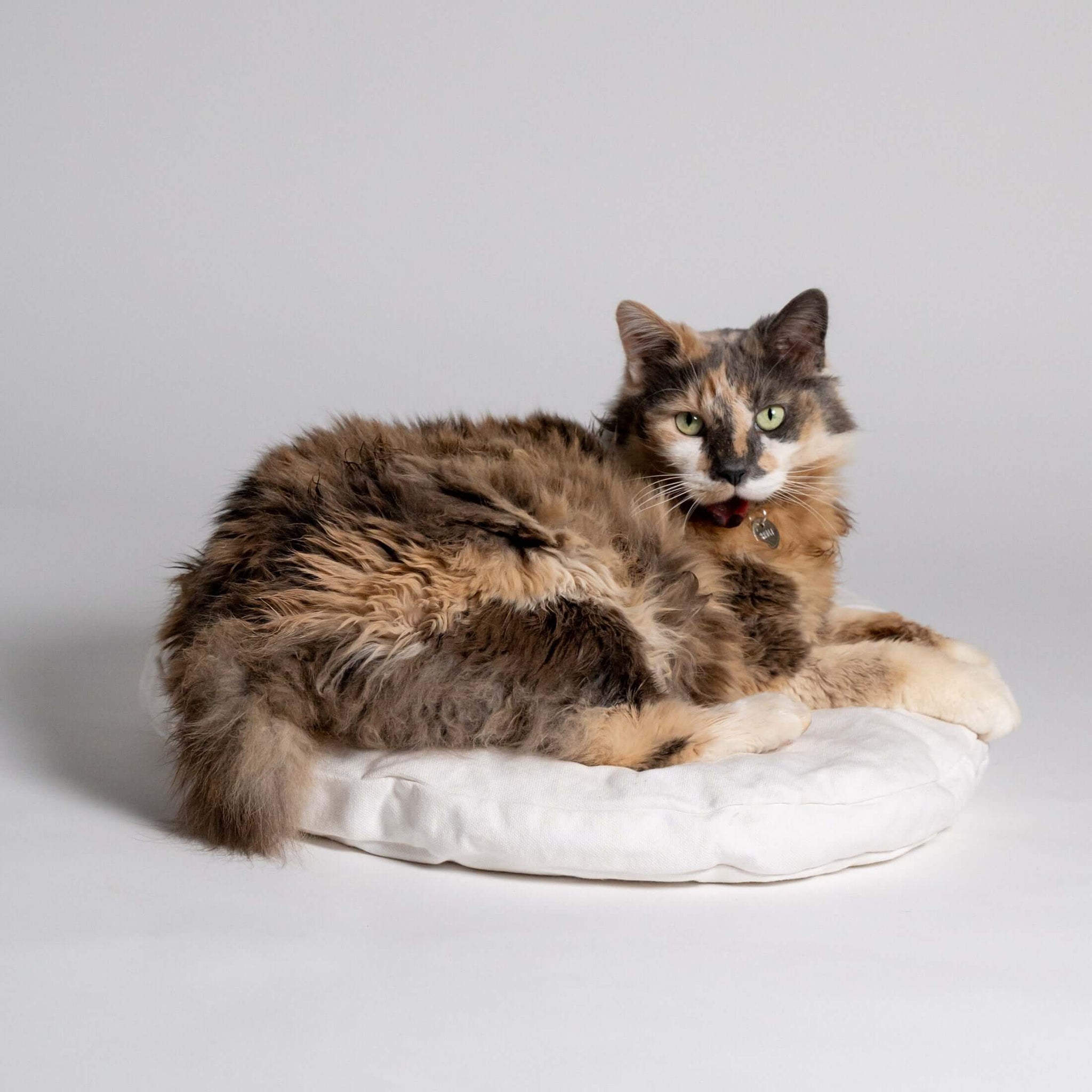 Rawry Pet Bed Accessories Round Medium Luxe Cushion