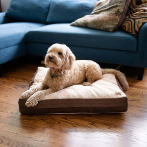 Rawry Pet Beds Therapeutic Floor Cushion - Medium
