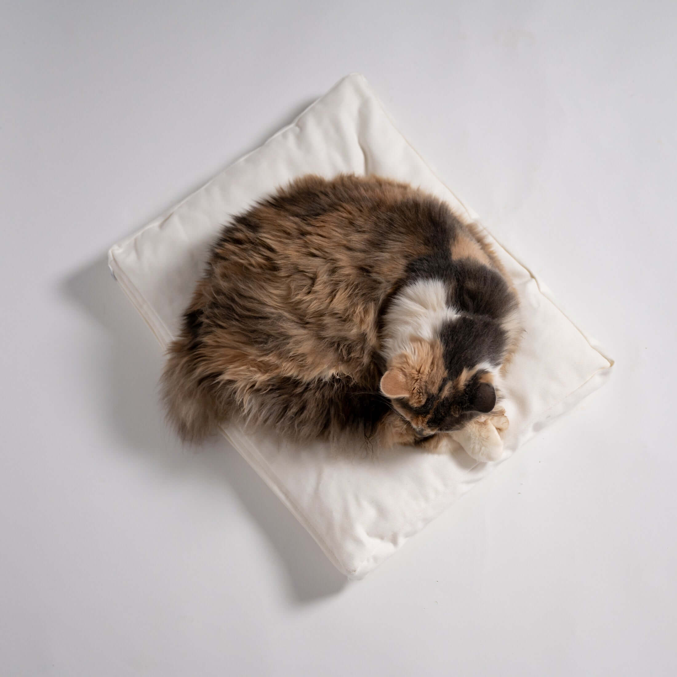 Rawry Pet Bed Accessories Rectangle  Medium Rectangle XL Luxe Cushion