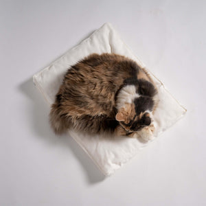 Rawry Pet Bed Accessories Rectangle  Medium Rectangle XL Luxe Cushion