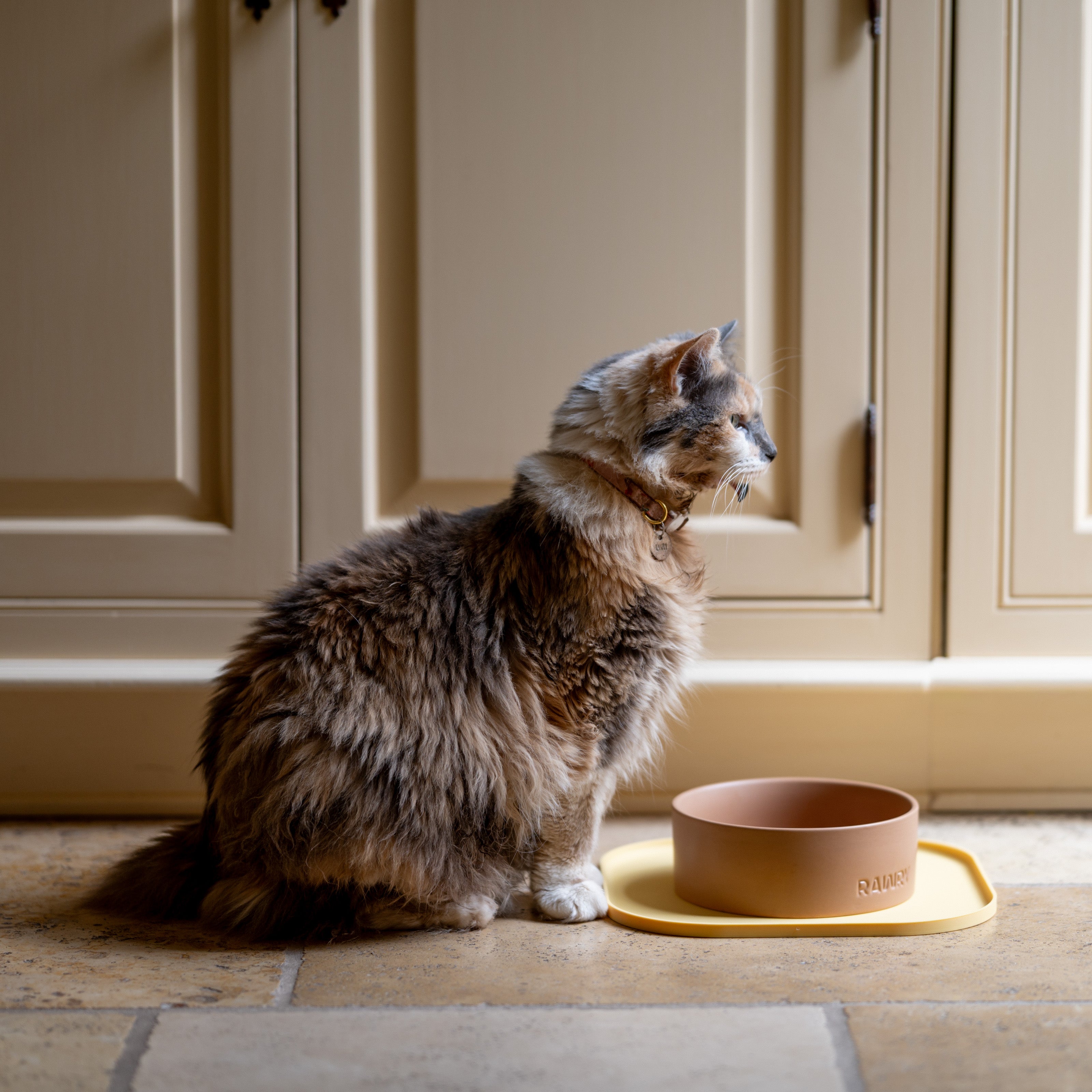 Rawry Ceramic Pet Bowl Size Guide: Clay - Small, Clay - Medium, Clay - Large