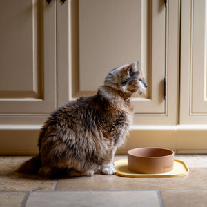 Rawry Ceramic Pet Bowl Size Guide: Clay - Small, Clay - Medium, Clay - Large