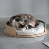 Luxe Bed