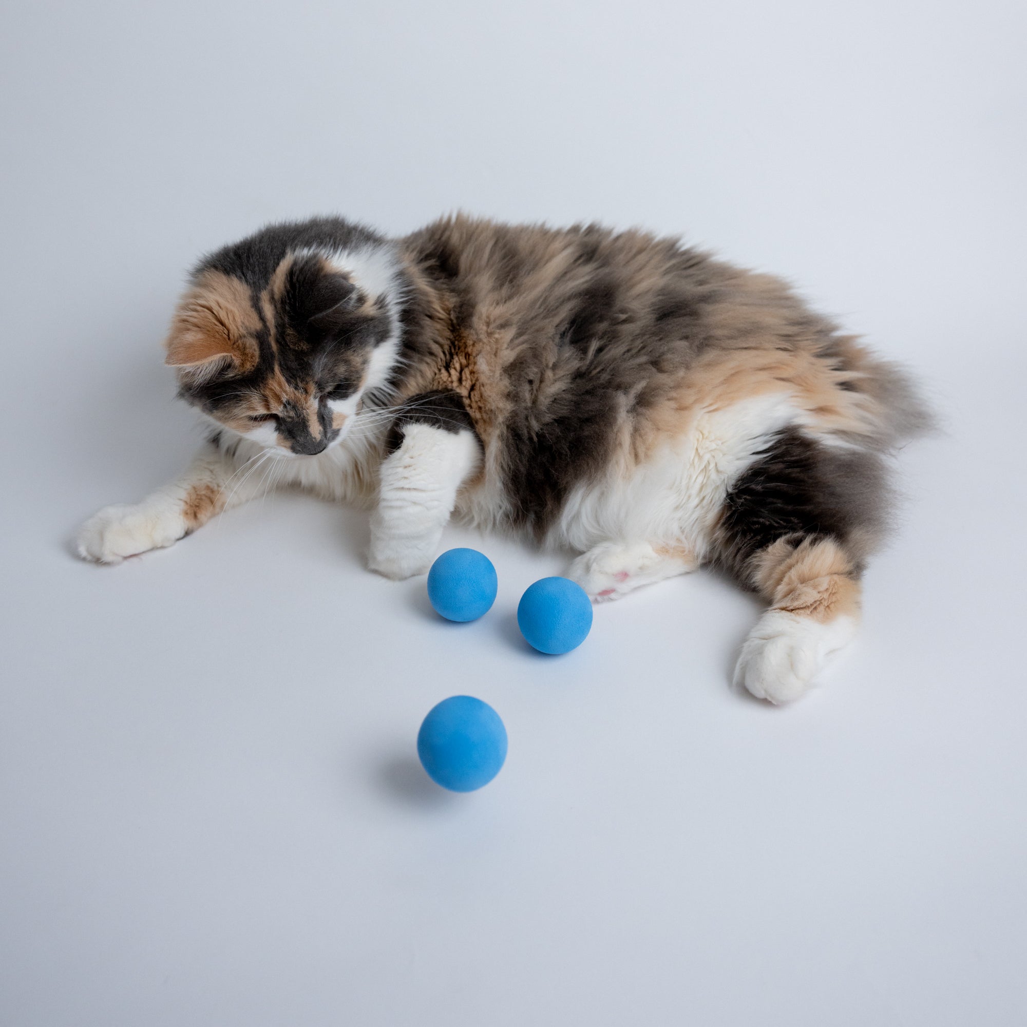 Foam balls for cats hotsell