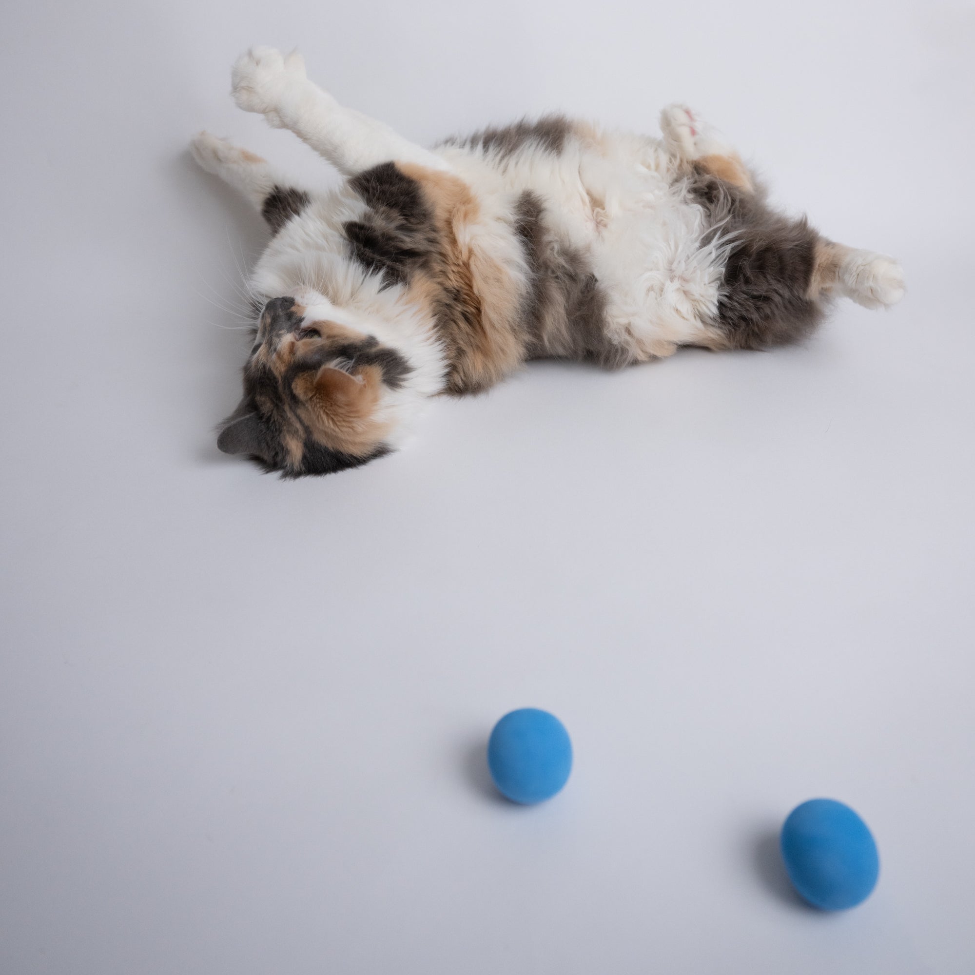 Cat toys foam balls best sale