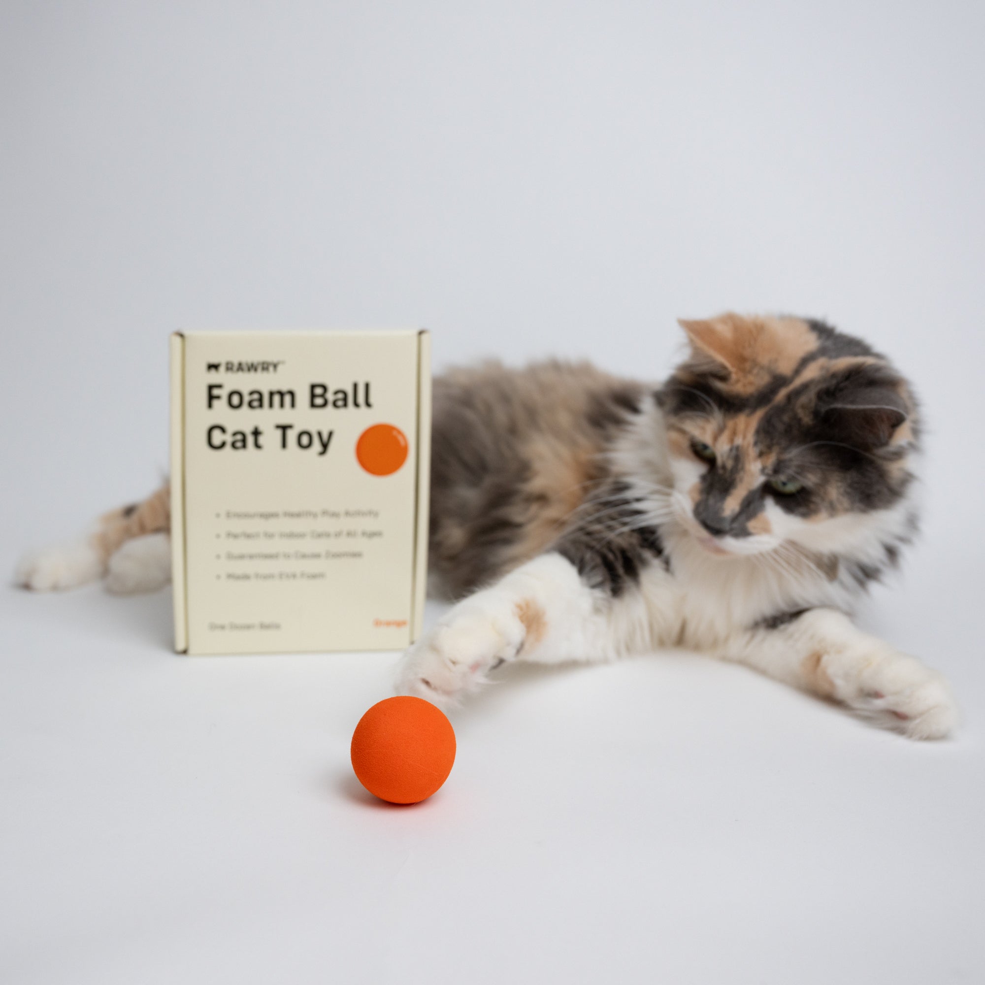 Foam Ball Cat Toy