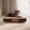 Rawry Pet Beds Therapeutic Floor Cushion - Small