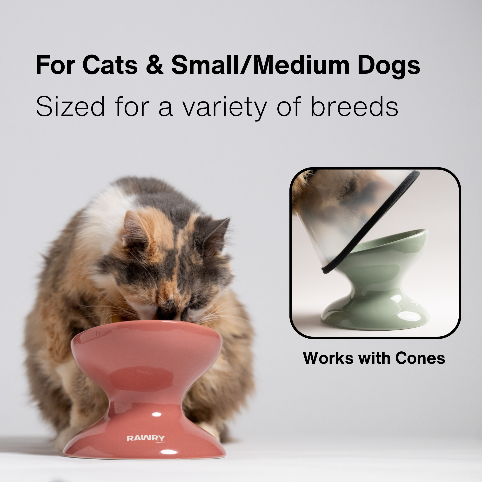 ETB Seafoam, ETB Plum