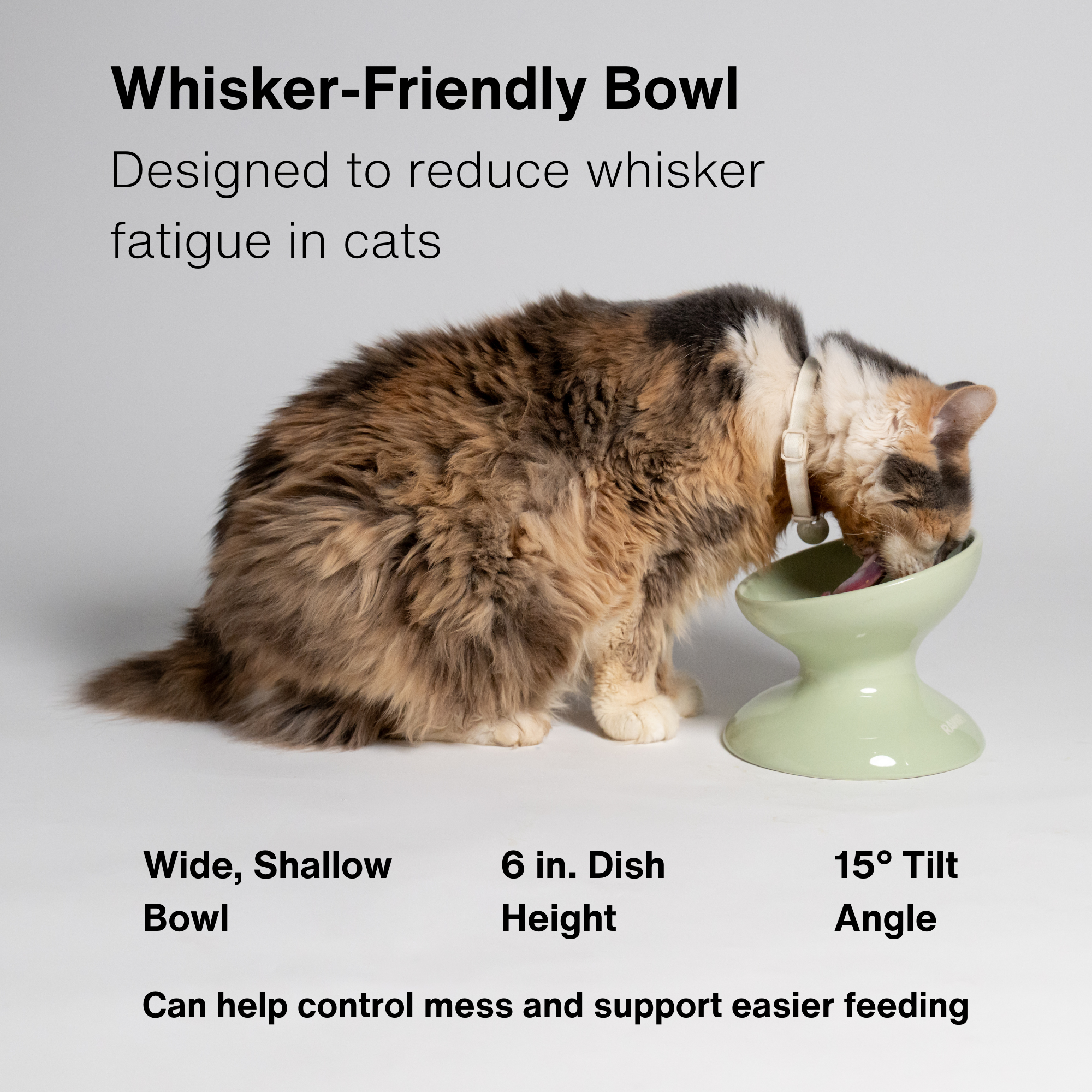 ETB Seafoam, ETB Plum