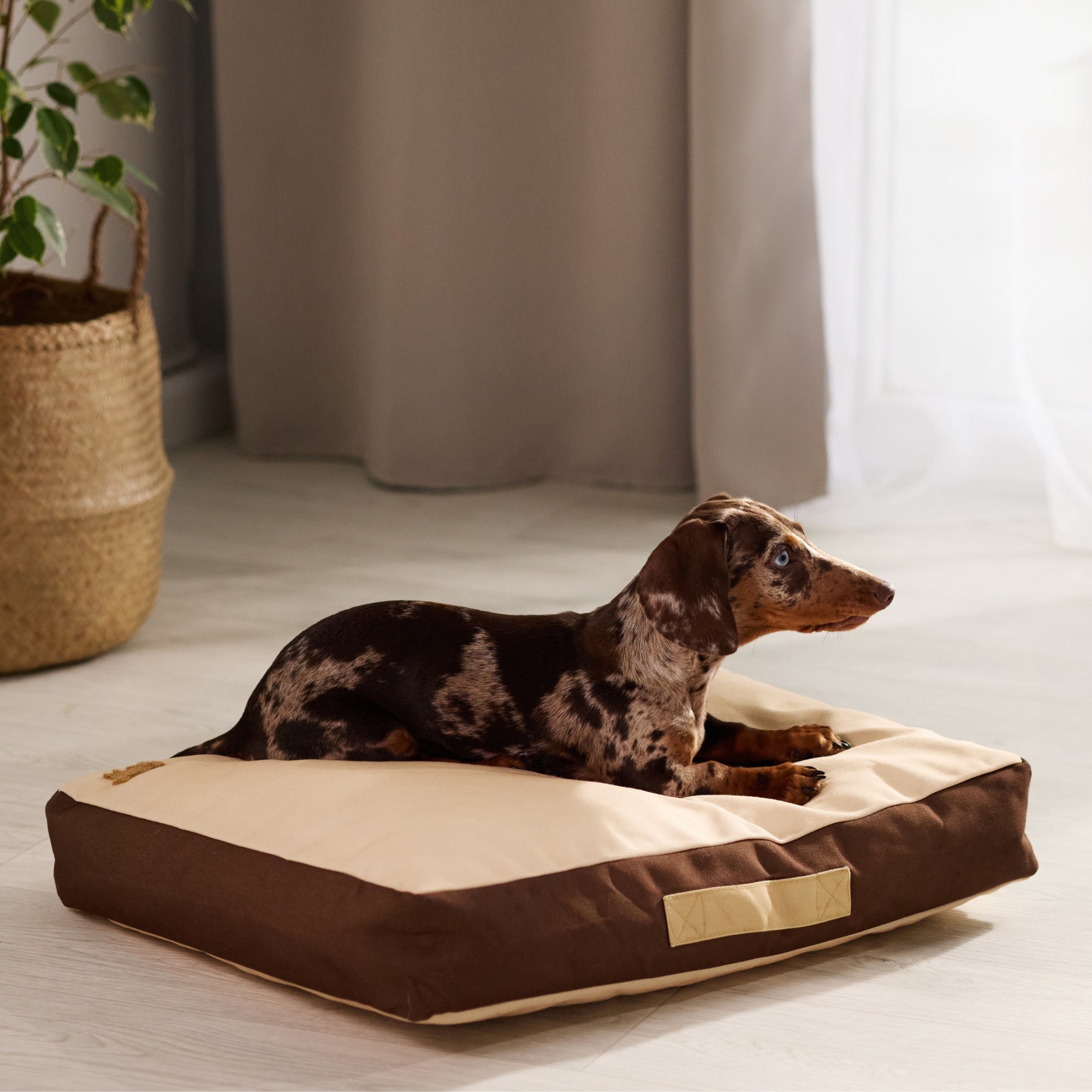 Rawry Pet Beds Therapeutic Floor Cushion - Small