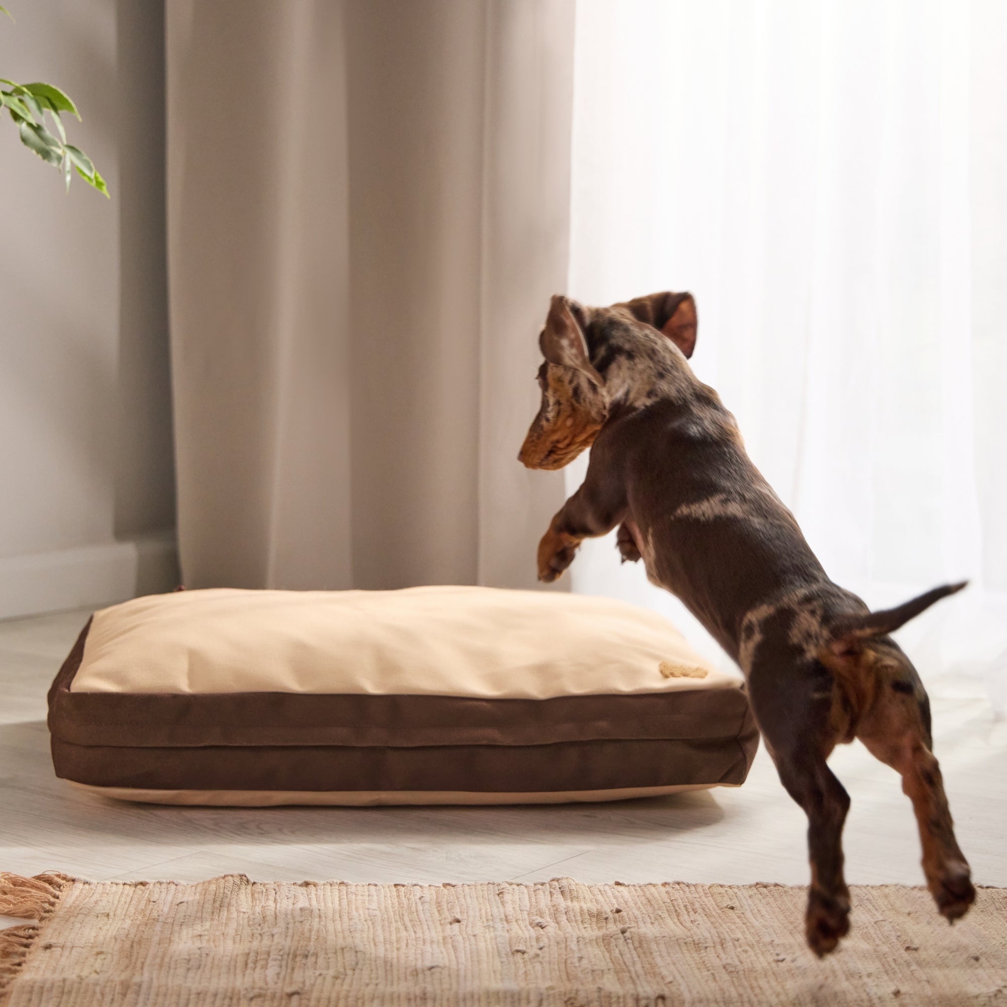 Orthopedic Pet Bed