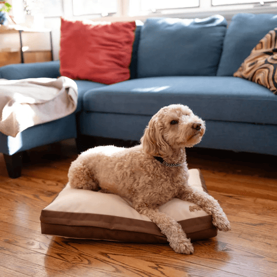 THERA - Orthopedic Pet bed