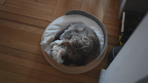 Round Wooden Pet Bed
