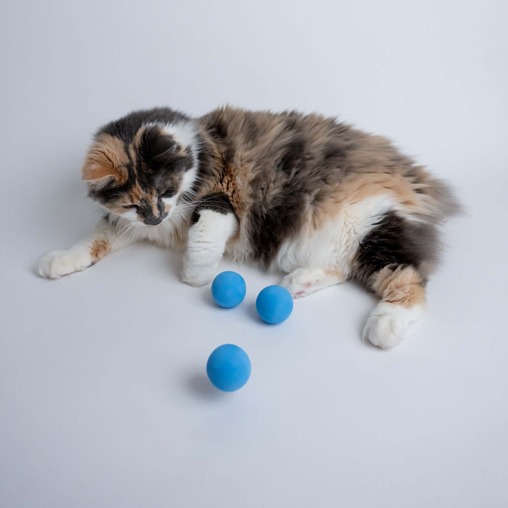 Rawry Bundles Essentials Bundle: Balls and Litter